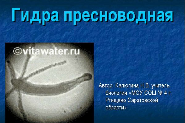 Кракен это современный даркнет