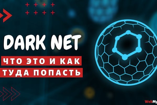 Kraken 12 at