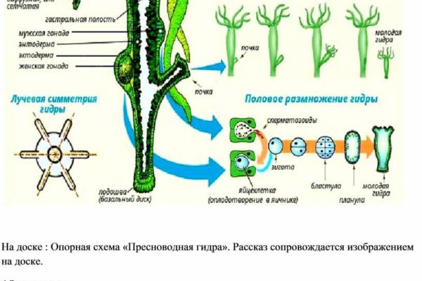 Рабочая ссылка кракен маркетплейс