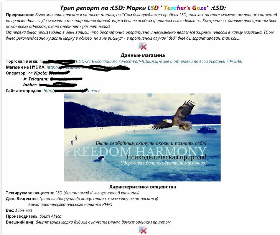 Кракен сбой